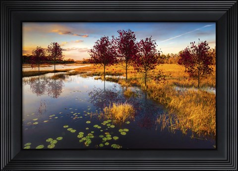 Framed Everglades at Dusk Print