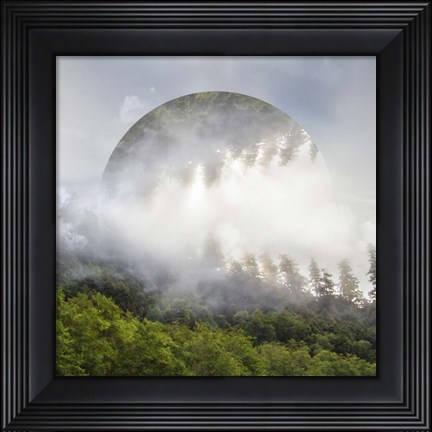 Framed Circle of Life Print