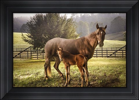 Framed Love Me Tender Print