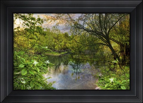 Framed Magnolia Overlook in Summer Print
