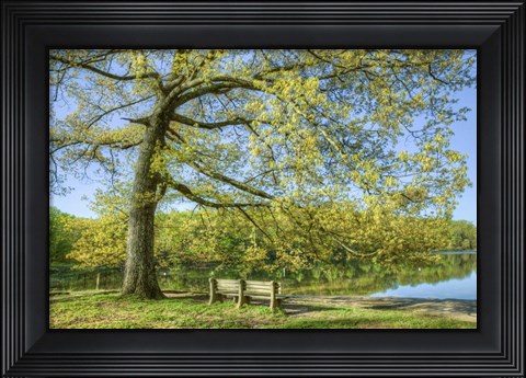 Framed I Will Wait for You in Spring Print