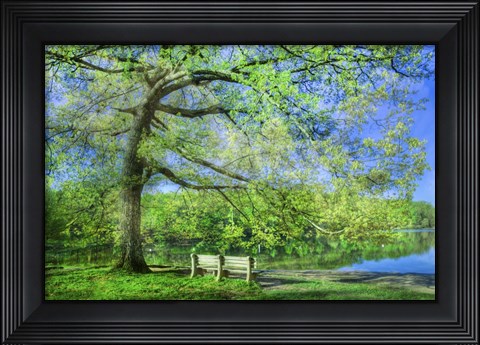Framed I Will Wait for You in Summer Print