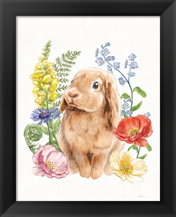 Framed Sunny Bunny I FB Print