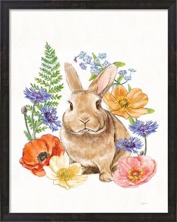 Framed Sunny Bunny II FB Print