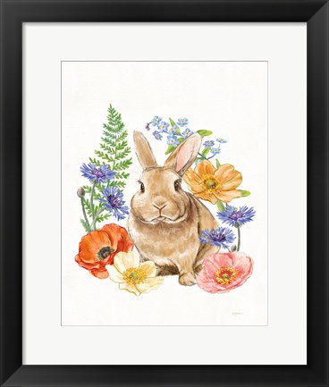 Framed Sunny Bunny II FB Print