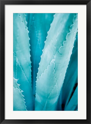 Framed Abstract Agava III Color Print