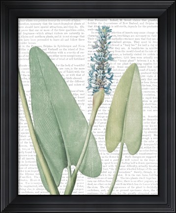 Framed Summer Botanicals IV Print