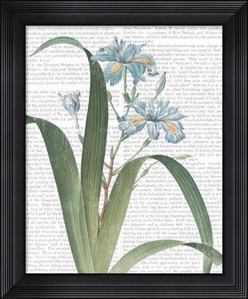 Framed Summer Botanicals III Print