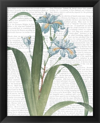 Framed Summer Botanicals III Print