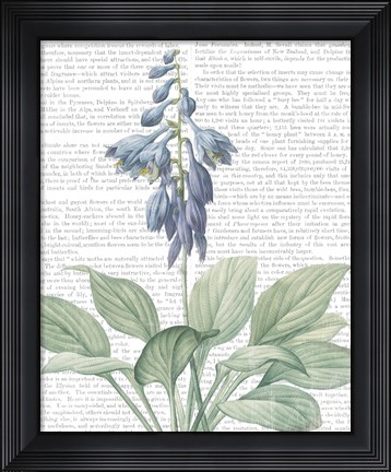 Framed Summer Botanicals II Print