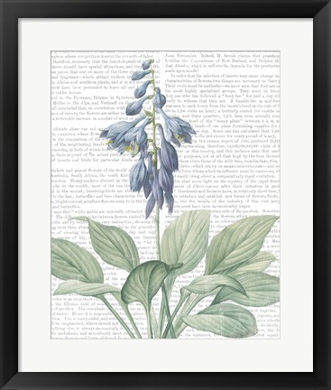 Framed Summer Botanicals II Print