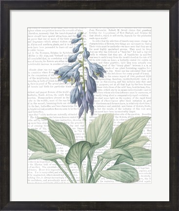Framed Summer Botanicals II Print