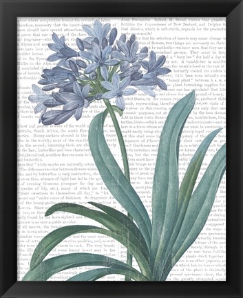 Framed Summer Botanicals I Print