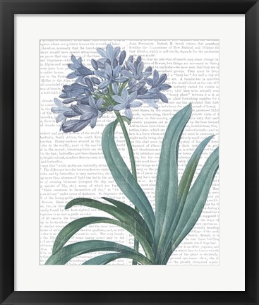 Framed Summer Botanicals I Print