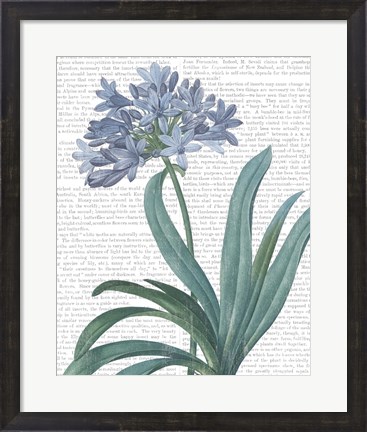 Framed Summer Botanicals I Print