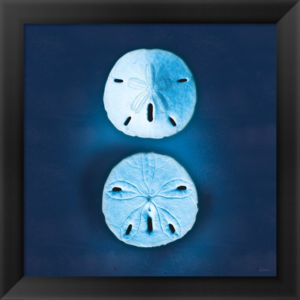 Framed Cyanotype Sea IV Print