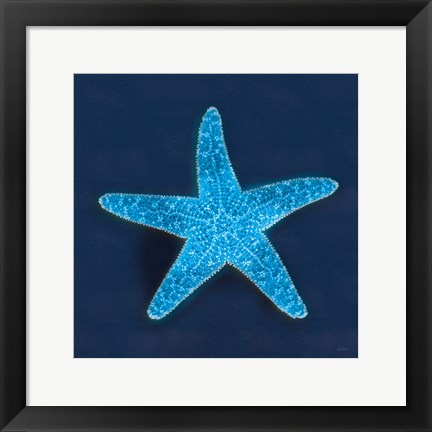 Framed Cyanotype Sea III Print