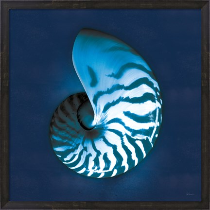 Framed Cyanotype Sea I Print