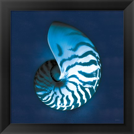 Framed Cyanotype Sea I Print
