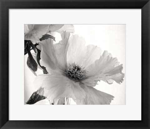 Framed Translucent Peony VI BW Print