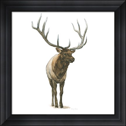 Framed Natural Majesty I Print