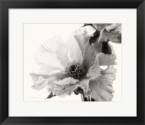 Framed Translucent Peony V BW Print