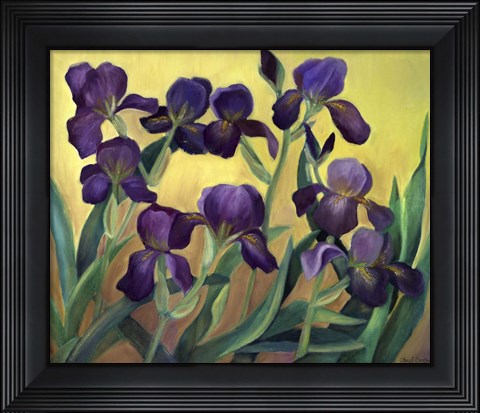 Framed Purple Bearded Iris Print