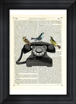 Framed Birdcall Print
