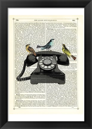 Framed Birdcall Print