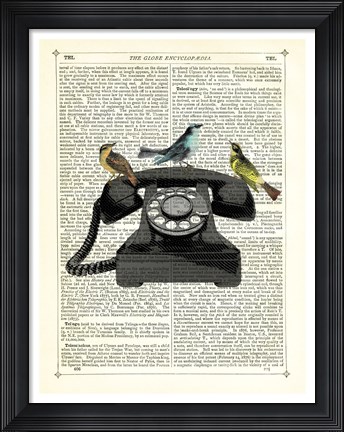 Framed Birdcall Print