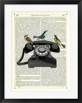 Framed Birdcall Print