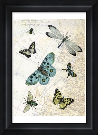 Framed Flying High Print