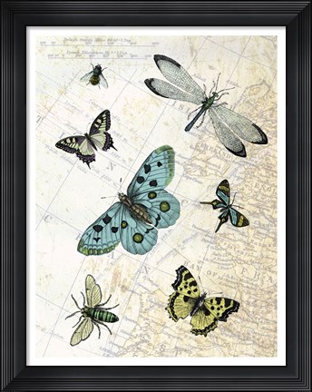 Framed Flying High Print