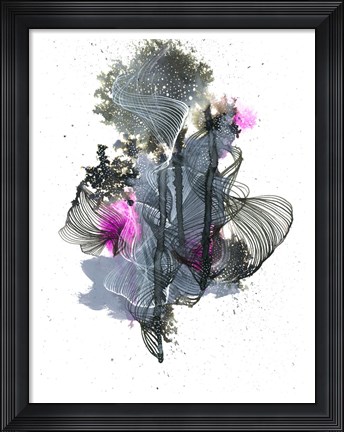 Framed Evolution Print