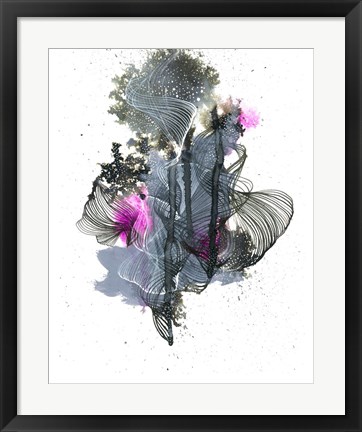 Framed Evolution Print