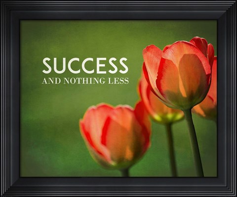Framed Success And Nothing Less - Flowers Color Print