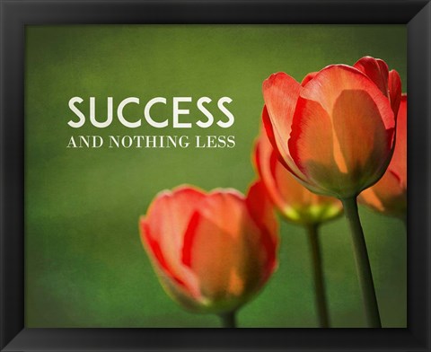 Framed Success And Nothing Less - Flowers Color Print