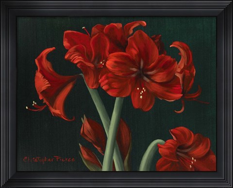 Framed Crimson Beauties Print