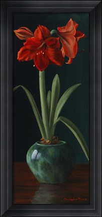 Framed Amarillys II Print