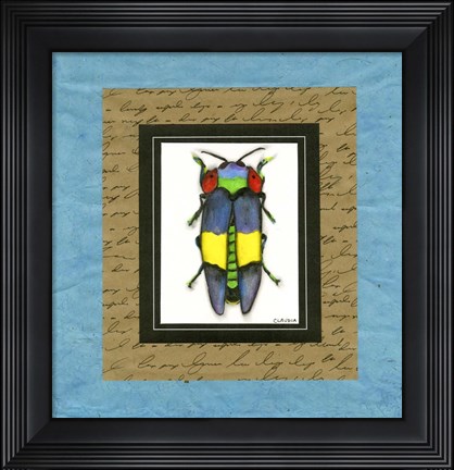 Framed Bugs I Print