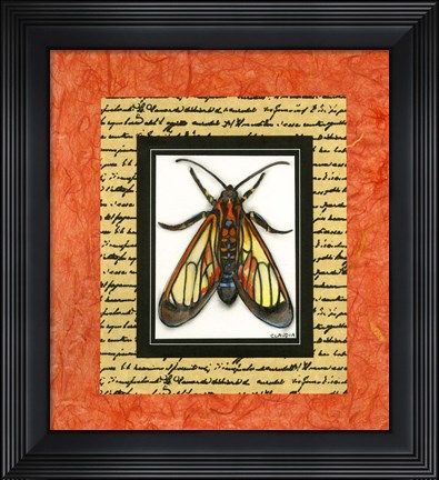 Framed Bugs II Print