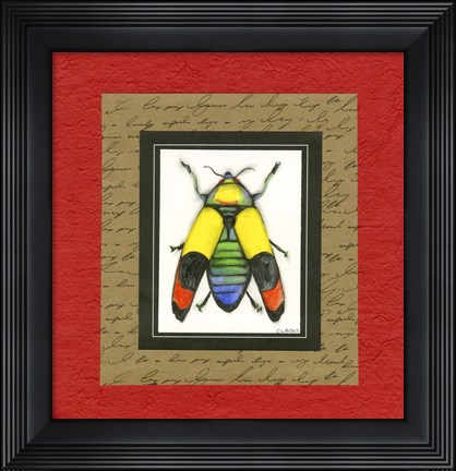 Framed Bugs IV Print