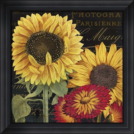 Framed October Sun I Print