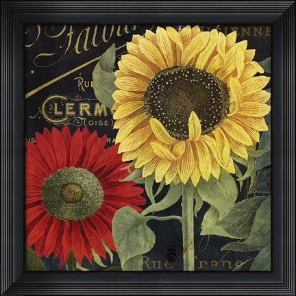 Framed October Sun II Print