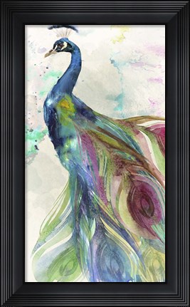 Framed Peacock Dress Print