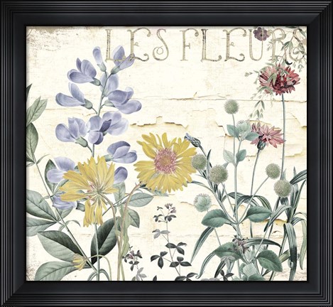 Framed Mirabelle II Print