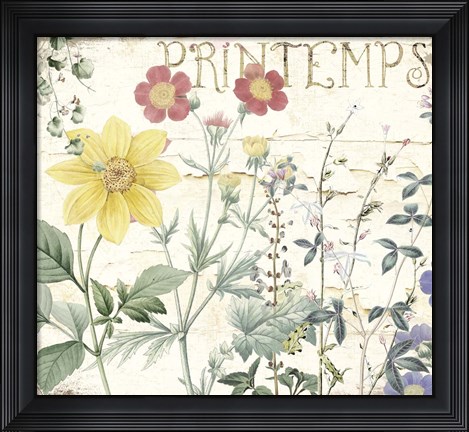 Framed Mirabelle III Print