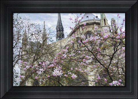 Framed Notre Dame de Paris III Print