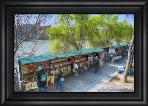 Framed Bouquinistes Print