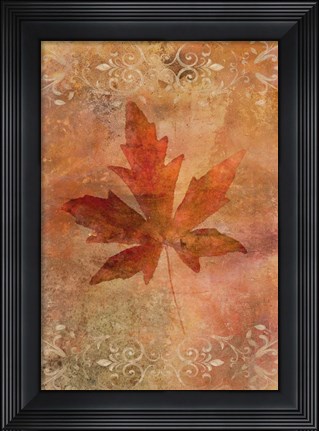 Framed Picked Up Autumn Leaf II Print